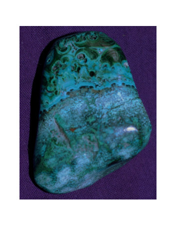 Chrysocolle PM